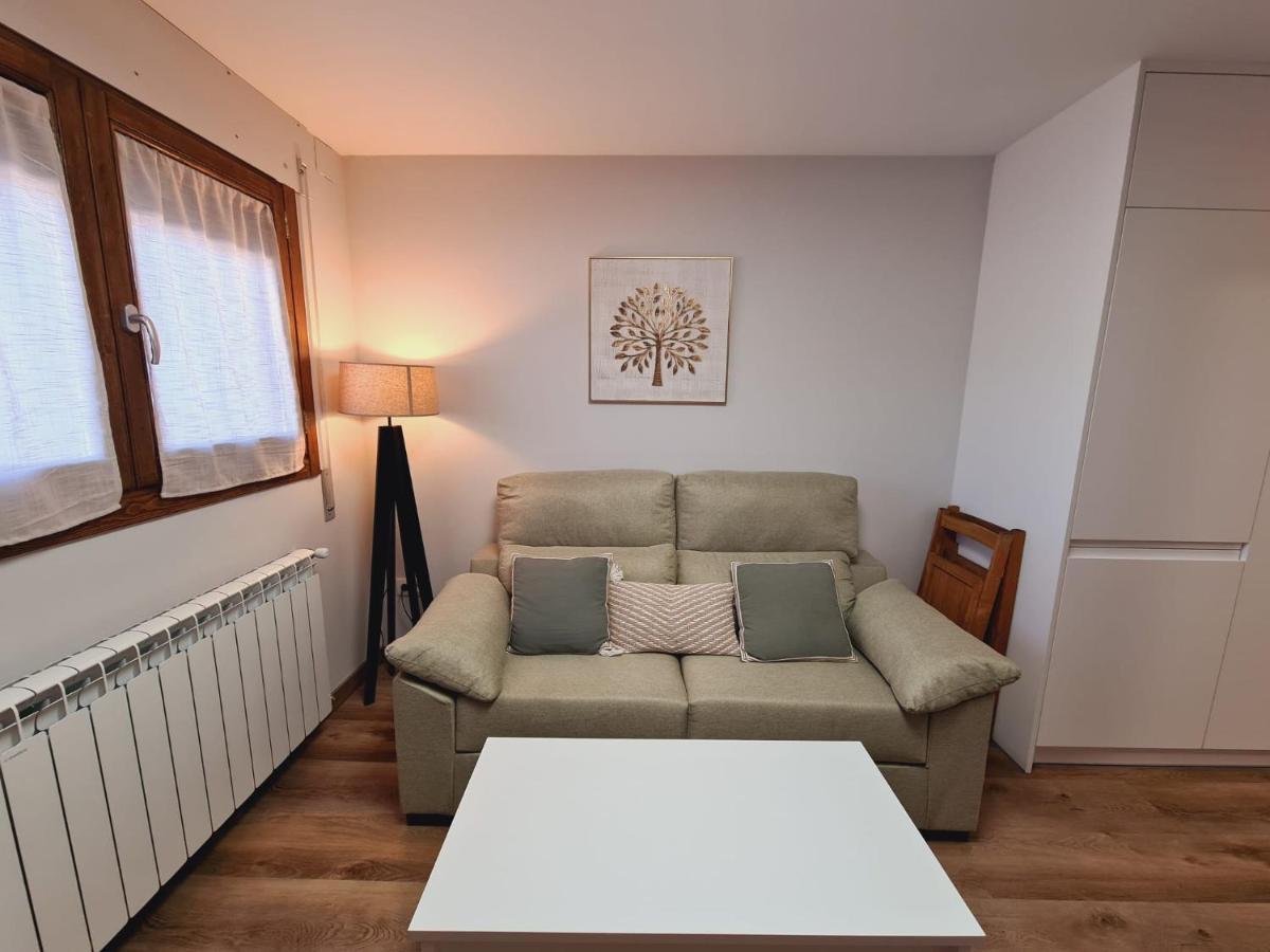 Apartmán Puente Viejo Santa Cilia de Jaca Exteriér fotografie